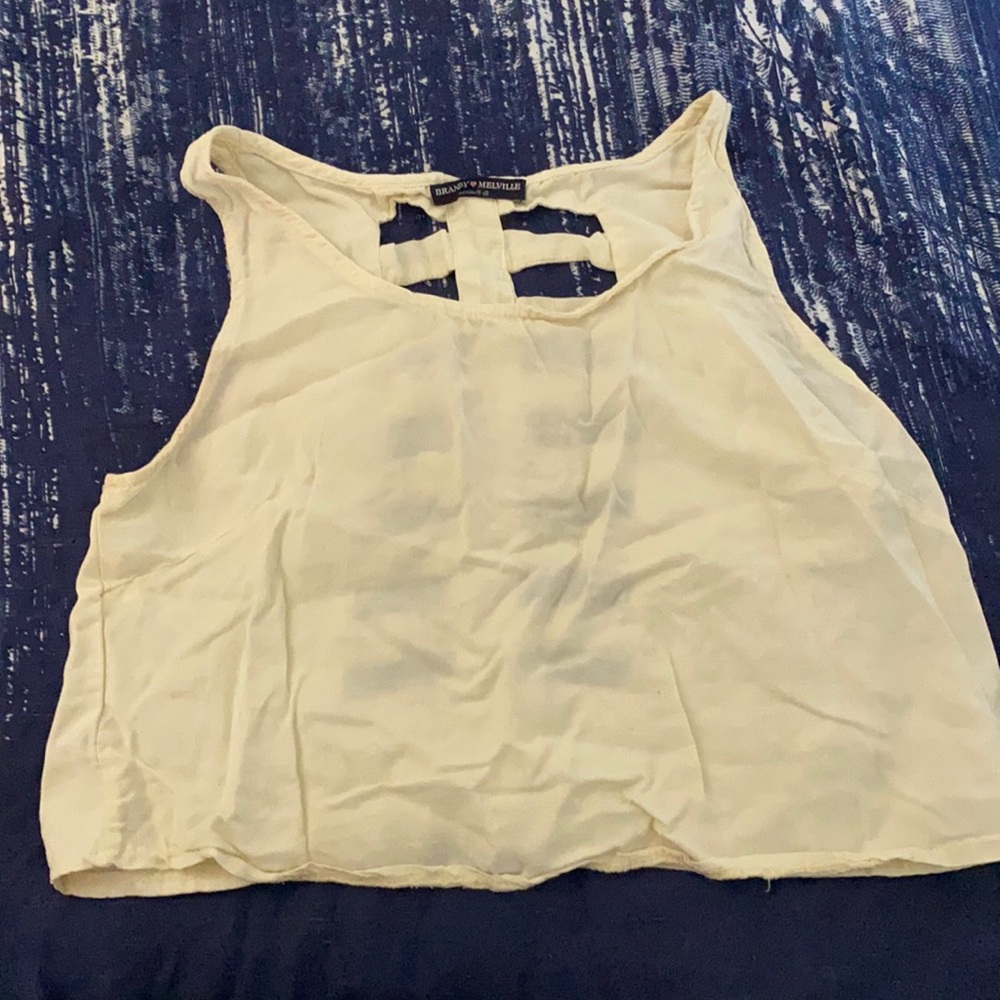 Brandy Melville crop top